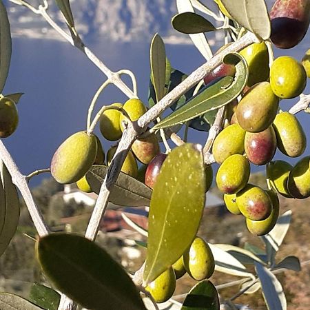 Appartamento Leccino Malcesine Exterior foto