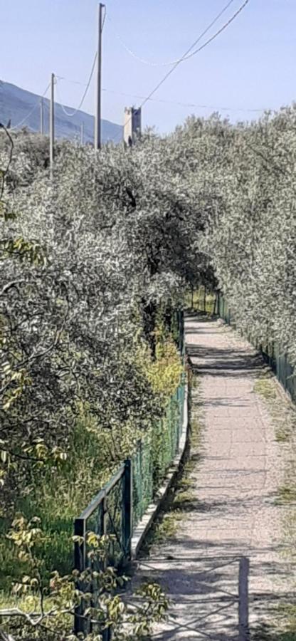 Appartamento Leccino Malcesine Exterior foto