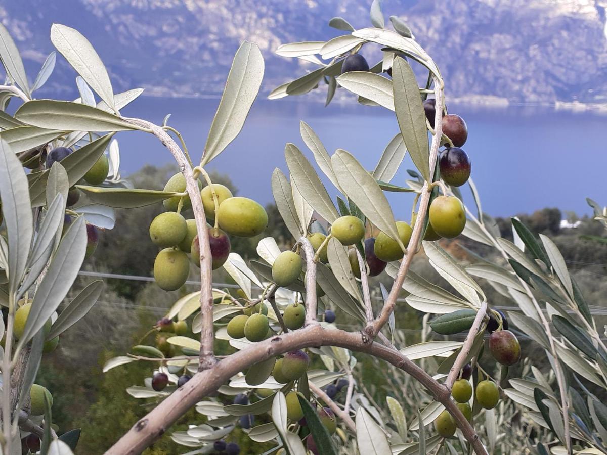 Appartamento Leccino Malcesine Exterior foto